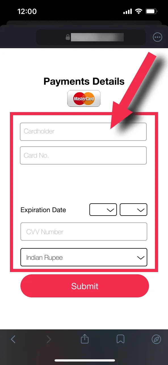 Fill in the payment details and deposit amount for your chosen option on TheLotter Casino.